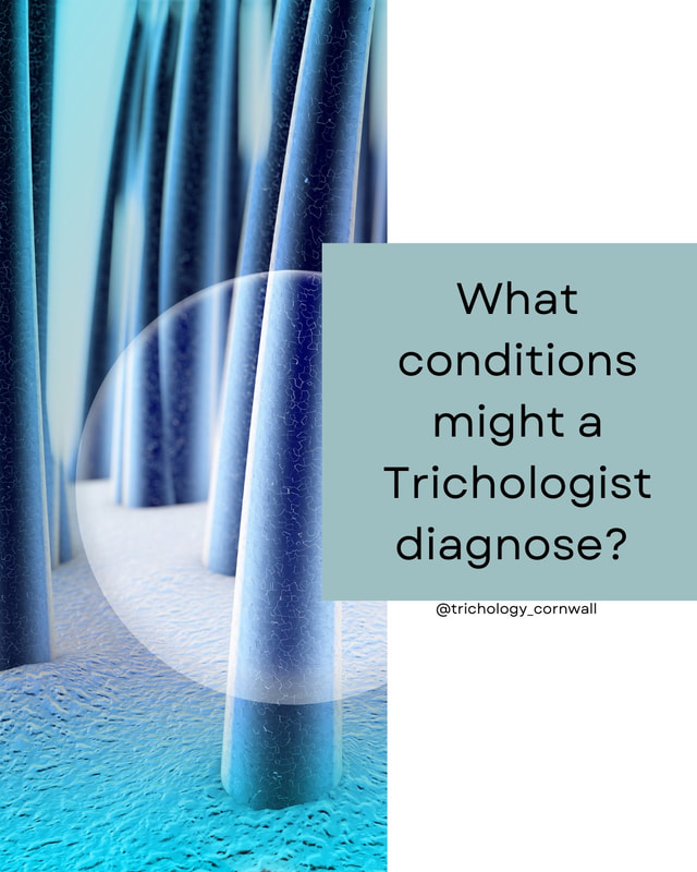 What conditions might a Trichologist diagnose? Trichology Cornwall. 